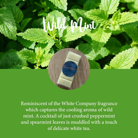 Wild mint