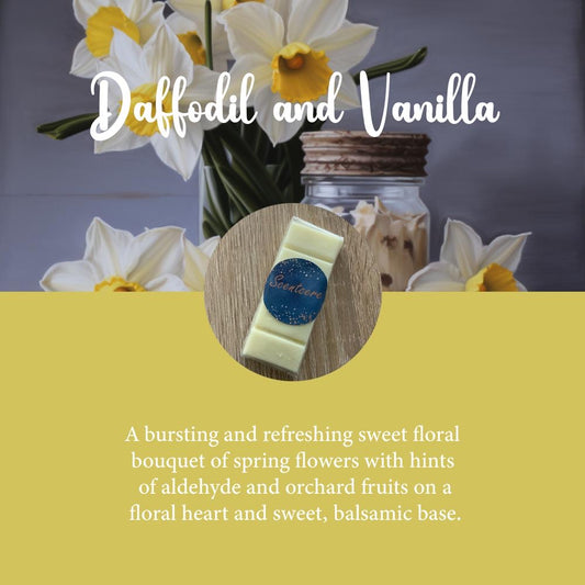 Daffodil and Vanilla