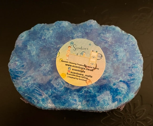 Invincible ( Inspired by Invictus) Small Exfoliating Soap Sponge