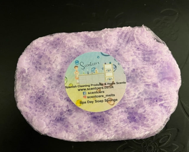 Spa Day Small Soap Sponge